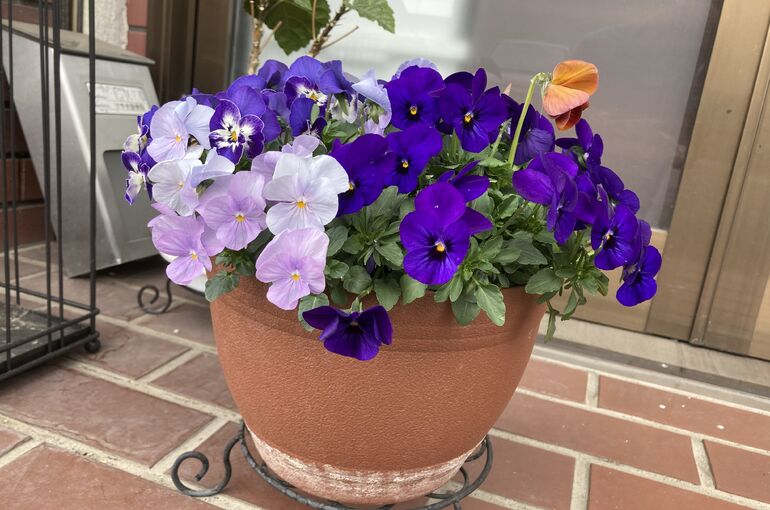 5518E69D-0AB6-4A9B-AE44-E24F6A6D570F