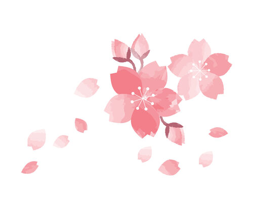 イラストac桜