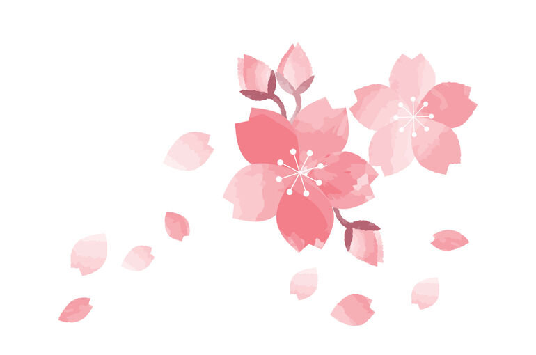 イラストac桜