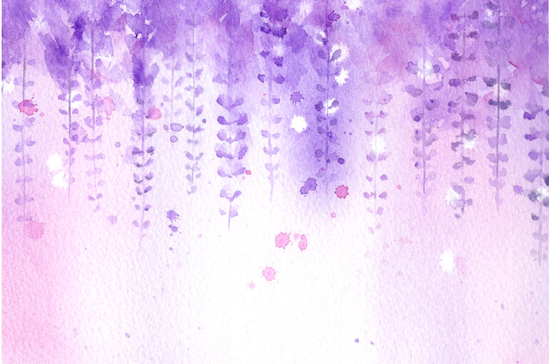 イラストＡＣ藤の花