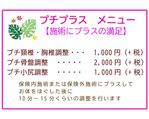 ホームページプチプラス