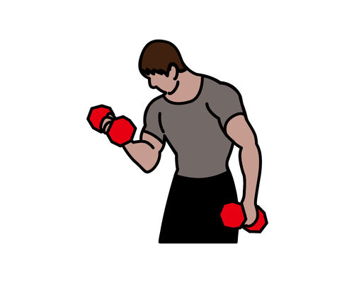 イラストac等尺性運動