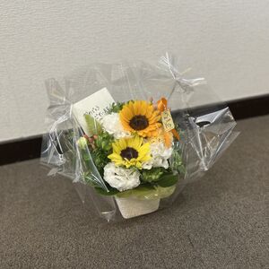 IMG_1693