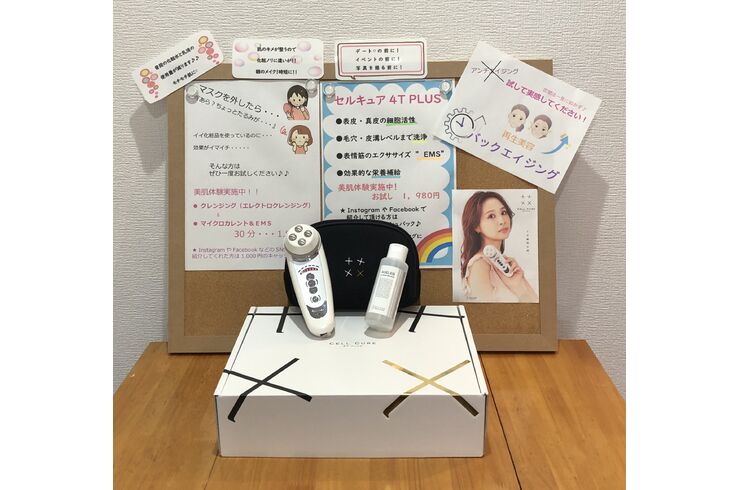 ベレガ・セルキュア