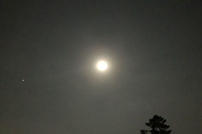 月2