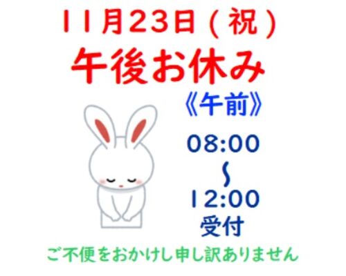 2020年11月23日