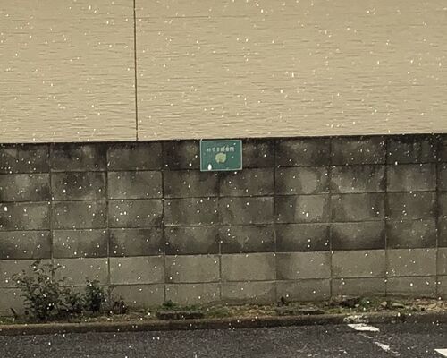 8A015A98-08C9-45EB-99F5-CDF1E18FA7B0