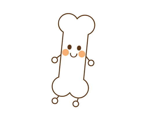 イラストAC骨の機能