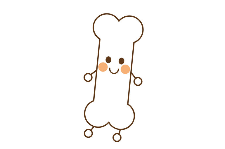 イラストAC骨の機能