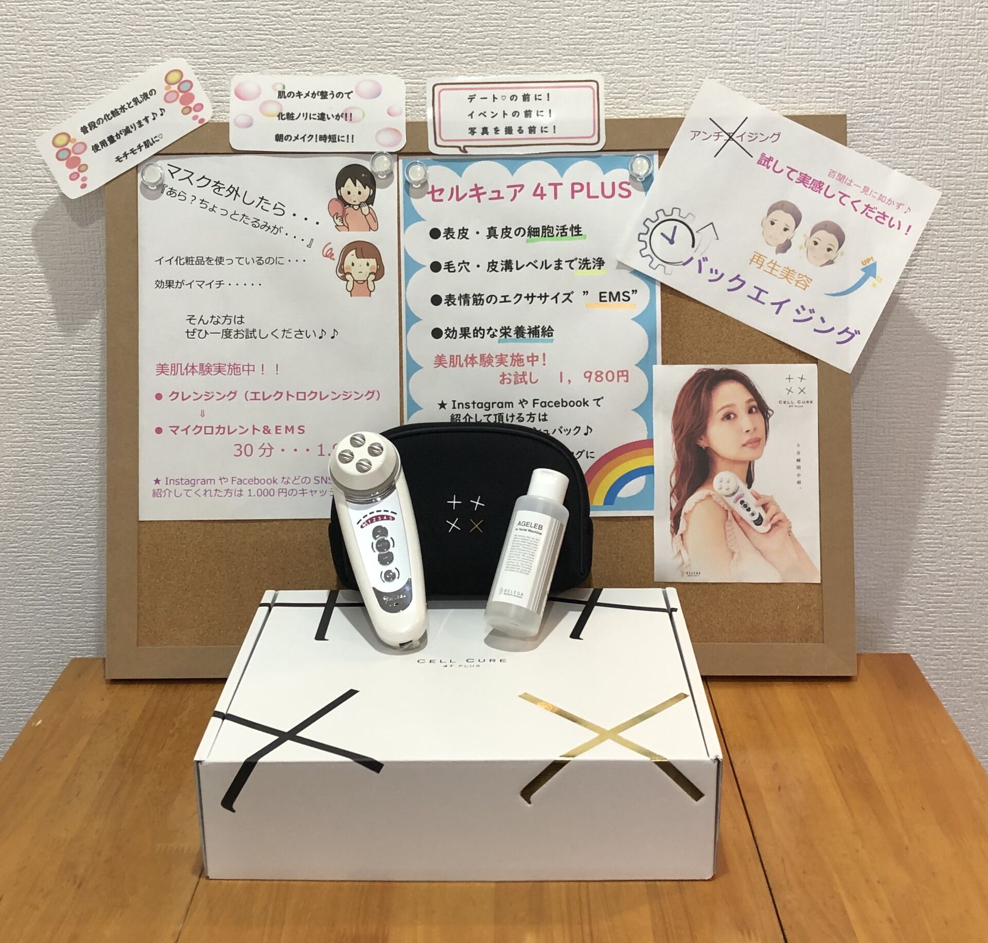 ベレガ・セルキュア